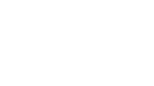 logosmartfast